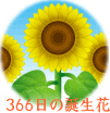 366日の誕生花